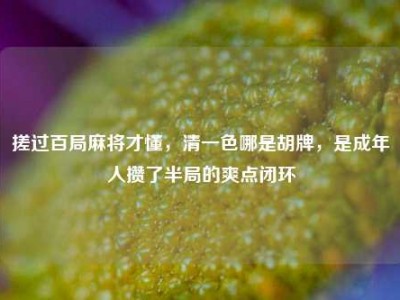 搓过百局麻将才懂，清一色哪是胡牌，是成年人攒了半局的爽点闭环