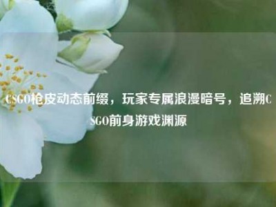 CSGO枪皮动态前缀，玩家专属浪漫暗号，追溯CSGO前身游戏渊源