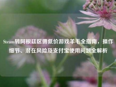 Steam转阿根廷区薅低价游戏羊毛全指南，操作细节、潜在风险及支付宝使用问题全解析