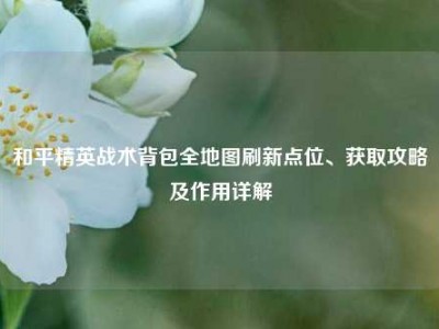 和平精英战术背包全地图刷新点位、获取攻略及作用详解