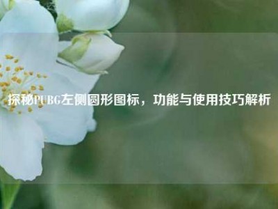 探秘PUBG左侧圆形图标，功能与使用技巧解析