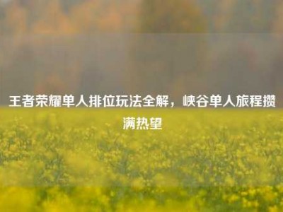 王者荣耀单人排位玩法全解，峡谷单人旅程攒满热望