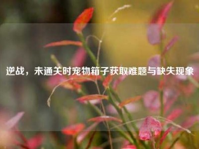 逆战，未通关时宠物箱子获取难题与缺失现象