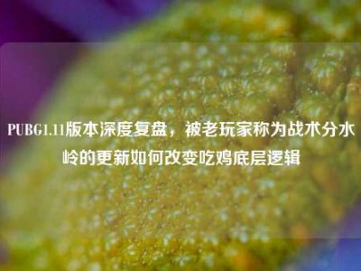 PUBG1.11版本深度复盘，被老玩家称为战术分水岭的更新如何改变吃鸡底层逻辑