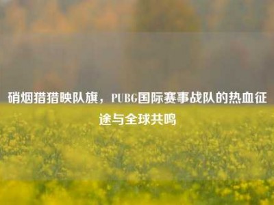 硝烟猎猎映队旗，PUBG国际赛事战队的热血征途与全球共鸣