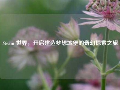 Steam 世界，开启建造梦想城堡的奇幻探索之旅