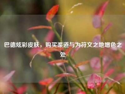 巴德炫彩皮肤，购买渠道与为符文之地增色之处