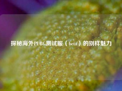 探秘海外PUBG测试服（beta）的别样魅力