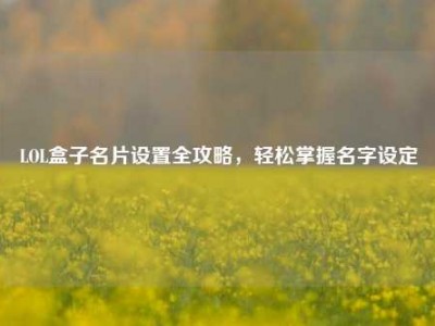 LOL盒子名片设置全攻略，轻松掌握名字设定