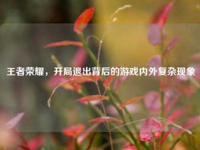 王者荣耀，开局退出背后的游戏内外复杂现象