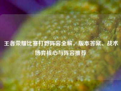 王者荣耀比赛打野阵容全解，版本答案、战术博弈核心与阵容推荐