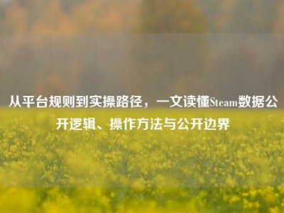 从平台规则到实操路径，一文读懂Steam数据公开逻辑、操作方法与公开边界