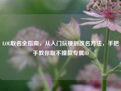 LOL取名全指南，从入门玩梗到改名方法，手把手教你取不撞款专属ID
