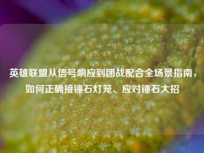 英雄联盟从信号响应到团战配合全场景指南，如何正确接锤石灯笼、应对锤石大招