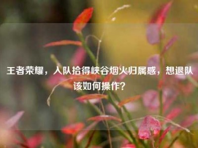 王者荣耀，入队拾得峡谷烟火归属感，想退队该如何操作？