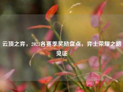 云顶之弈，2021各赛季奖励盘点，弈士荣耀之路见证