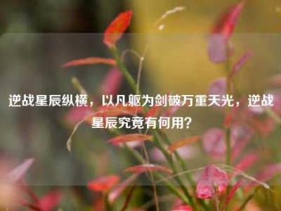 逆战星辰纵横，以凡躯为剑破万重天光，逆战星辰究竟有何用？