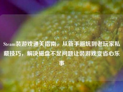 Steam装游戏通关指南，从新手避坑到老玩家私藏技巧，解决磁盘不足问题让装游戏变省心乐事