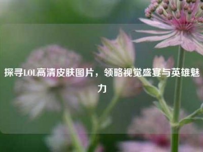探寻LOL高清皮肤图片，领略视觉盛宴与英雄魅力