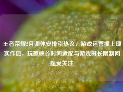 王者荣耀2月调休安排引热议，游戏运营撞上现实作息，玩家峡谷时间适配与游戏时长限制问题受关注
