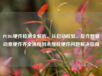 PUBG硬件检测全解析，从启动校验、反作弊联动查硬件齐全流程到未授权硬件问题解决指南
