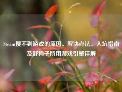 Steam搜不到游戏的原因、解决办法、入坑指南及野狗子所用游戏引擎详解