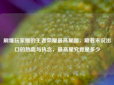 刷爆玩家圈的王者荣耀最高星图，藏着未说出口的热血与执念，最高星究竟是多少