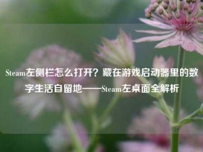 Steam左侧栏怎么打开？藏在游戏启动器里的数字生活自留地——Steam左桌面全解析