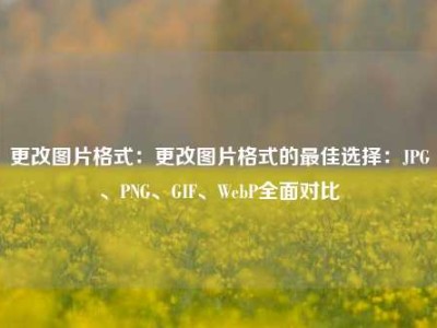 更改图片格式：更改图片格式的最佳选择：JPG、PNG、GIF、WebP全面对比