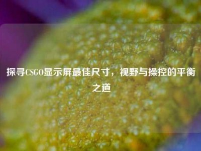探寻CSGO显示屏最佳尺寸，视野与操控的平衡之道