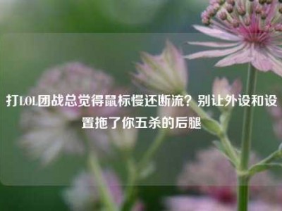 打LOL团战总觉得鼠标慢还断流？别让外设和设置拖了你五杀的后腿