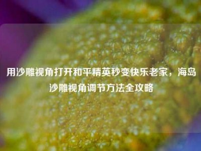 用沙雕视角打开和平精英秒变快乐老家，海岛沙雕视角调节方法全攻略