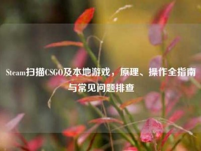 Steam扫描CSGO及本地游戏，原理、操作全指南与常见问题排查