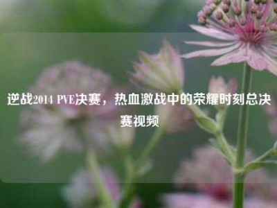 逆战2014 PVE决赛，热血激战中的荣耀时刻总决赛视频