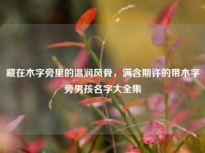 藏在木字旁里的温润风骨，满含期许的带木字旁男孩名字大全集