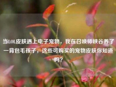 当LOL皮肤遇上电子宠物，我在召唤师峡谷养了一背包毛孩子，这些可购买的宠物皮肤你知道吗？