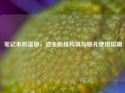 笔记本防盗锁，安全防线构筑与锁孔使用指南