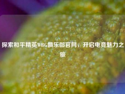 探索和平精英WBG俱乐部官网，开启电竞魅力之旅