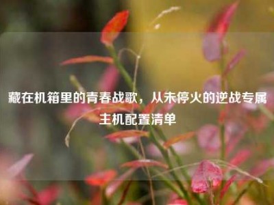 藏在机箱里的青春战歌，从未停火的逆战专属主机配置清单