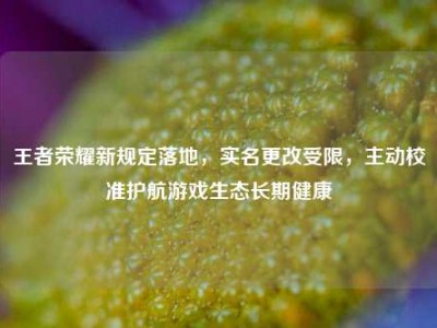 王者荣耀新规定落地，实名更改受限，主动校准护航游戏生态长期健康