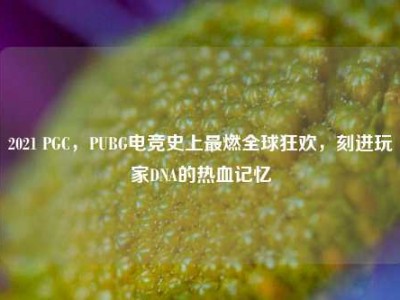 2021 PGC，PUBG电竞史上最燃全球狂欢，刻进玩家DNA的热血记忆