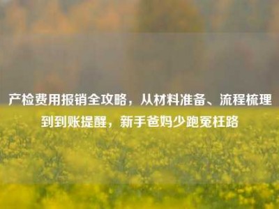 产检费用报销全攻略，从材料准备、流程梳理到到账提醒，新手爸妈少跑冤枉路