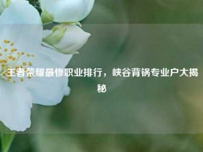 王者荣耀最惨职业排行，峡谷背锅专业户大揭秘