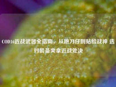 COD16近战武器全指南，从跑刀仔到贴脸战神 选对装备爽拿近战处决