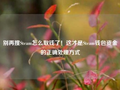 别再搜Steam怎么取钱了！这才是Steam钱包资金的正确处理方式