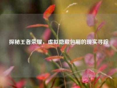 探秘王者荣耀，虚拟隐藏包厢的现实寻踪