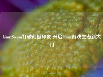 LinuxSteam打破刻板印象 开启Linux游戏生态新大门