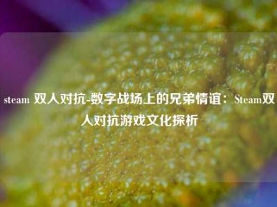 steam 双人对抗-数字战场上的兄弟情谊：Steam双人对抗游戏文化探析