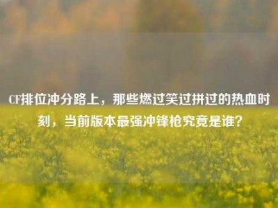 CF排位冲分路上，那些燃过笑过拼过的热血时刻，当前版本最强冲锋枪究竟是谁？