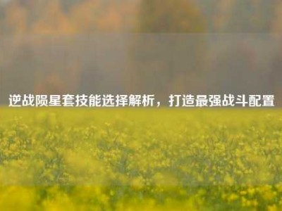 逆战陨星套技能选择解析，打造最强战斗配置